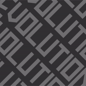 evolution taekwondo branding