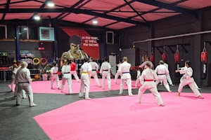 EVOLUTION TAEKWONDO & KICKBOXING-Martial Arts classes in Peterborough place picture
